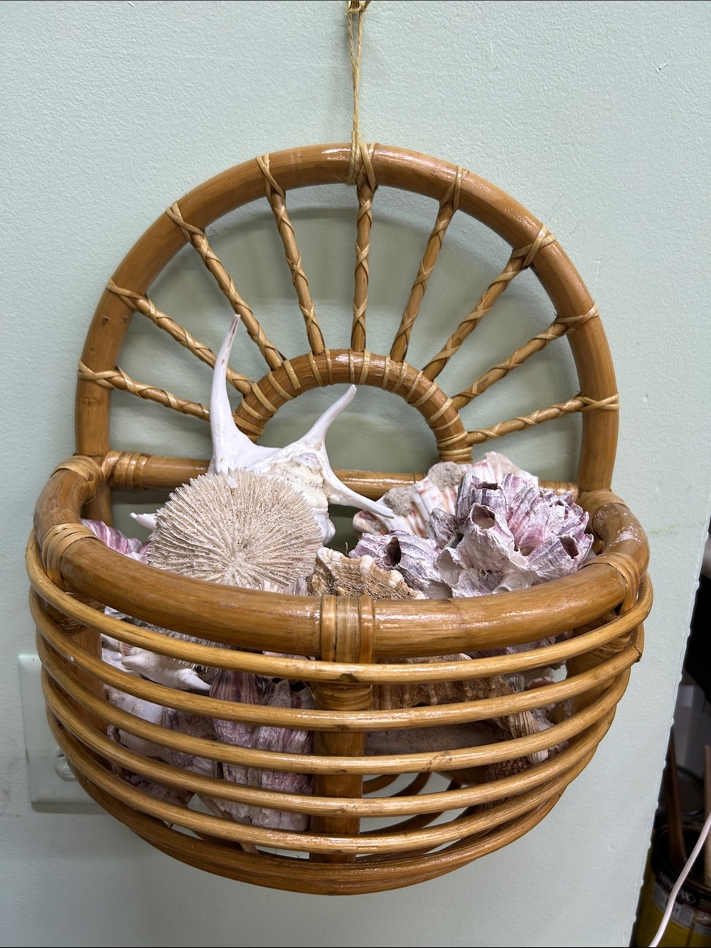 Woven Rattan Wall Basket with Seashell Display - Honey Brown